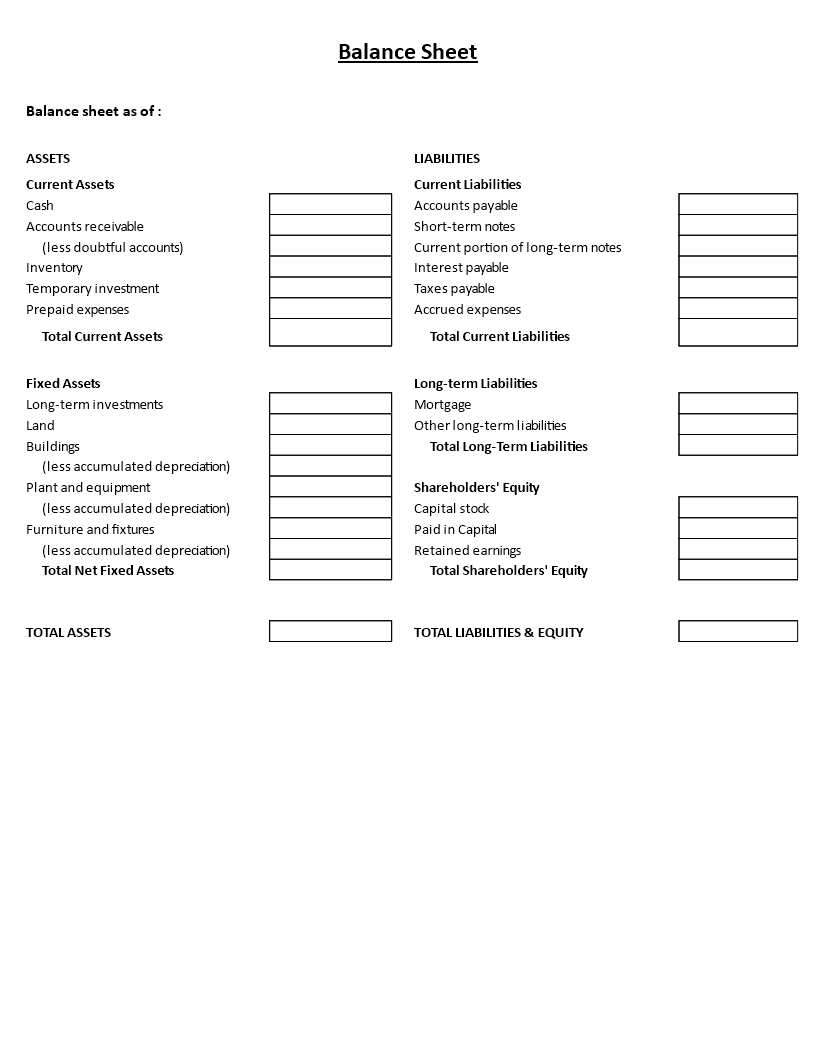 Balance Sheet template 模板