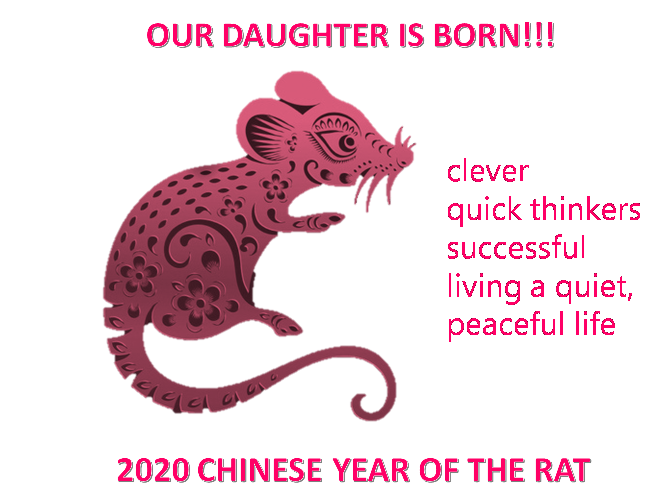 daughter is born 2020 poster voorbeeld afbeelding 