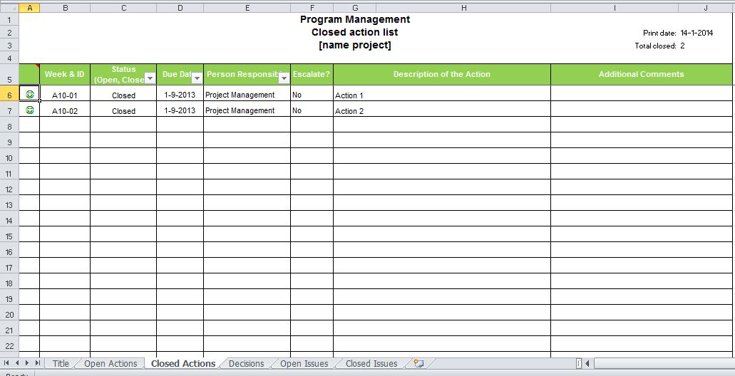program management form template Hauptschablonenbild