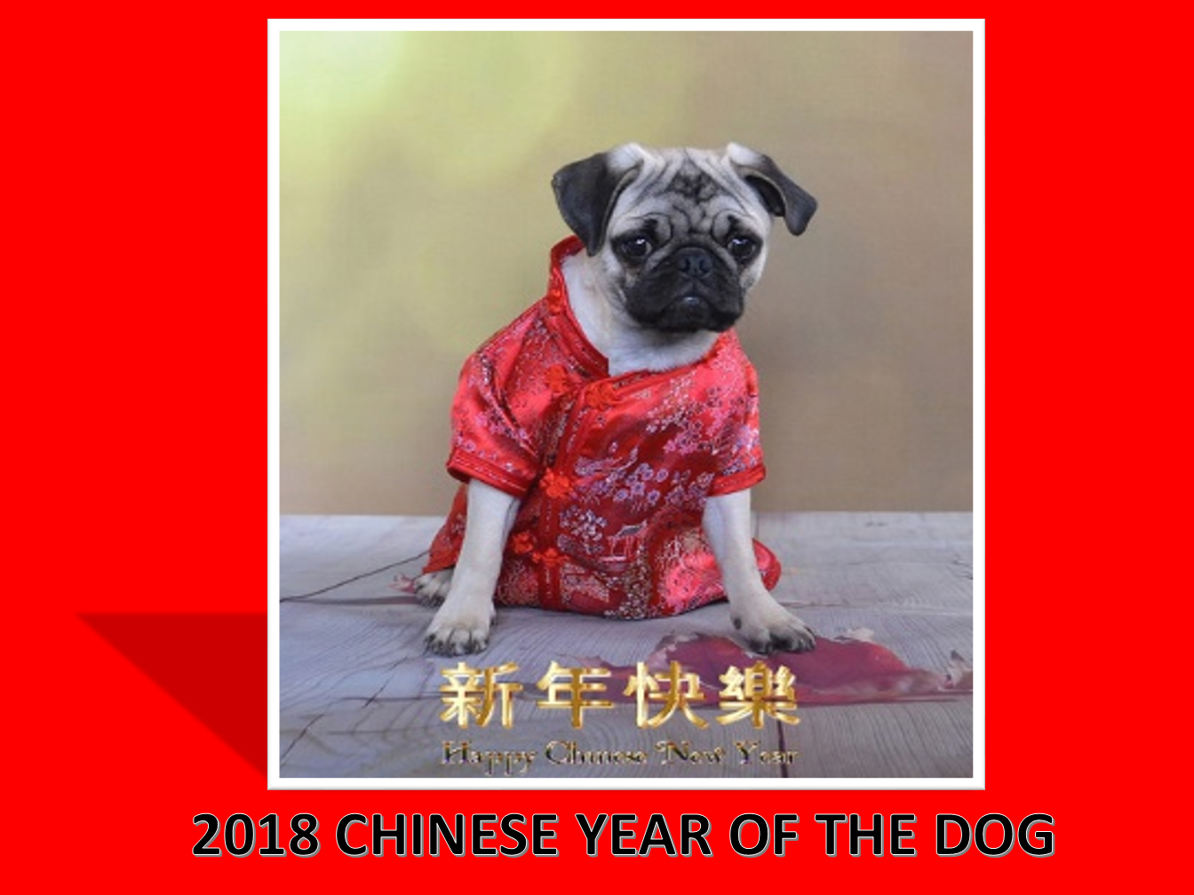 chinese new year dog presentation template