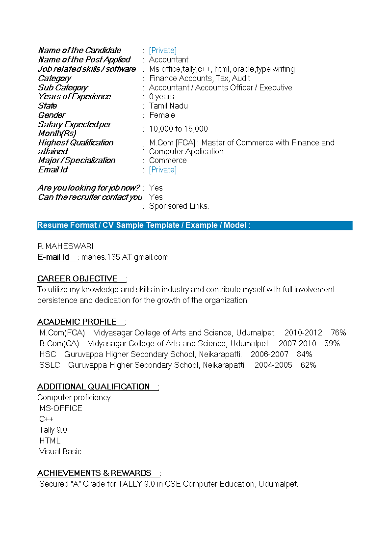 fresher accountant resume format template