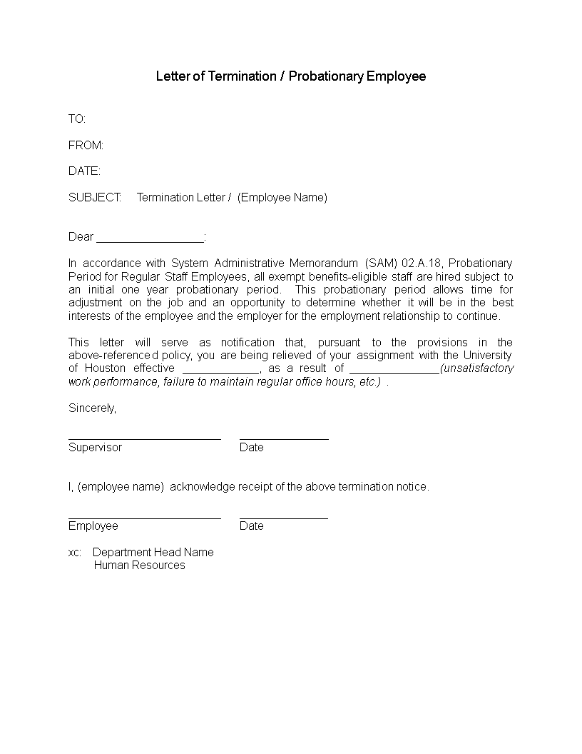 Letter of Termination of Probationary Employment main image