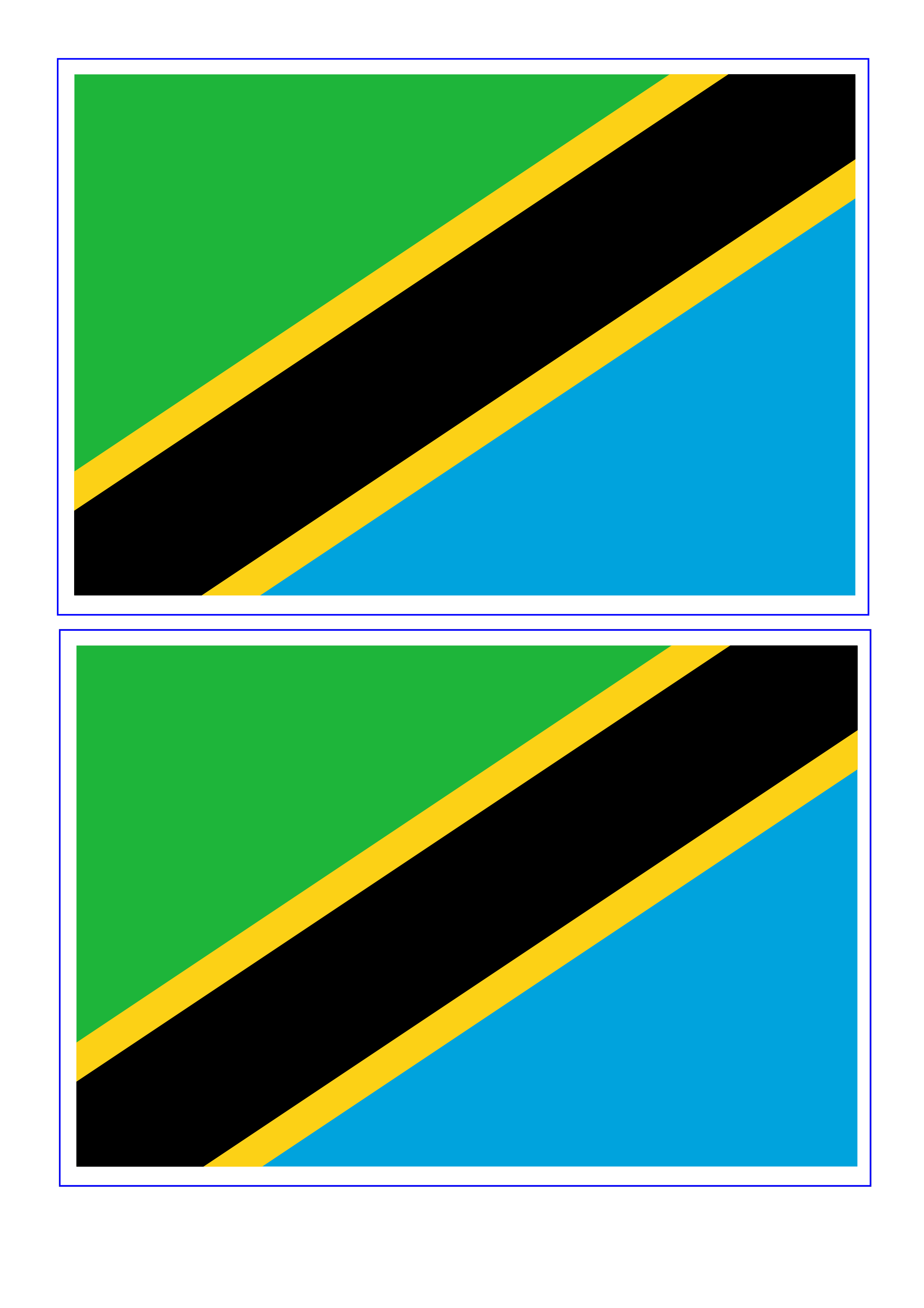 tanzania flag voorbeeld afbeelding 