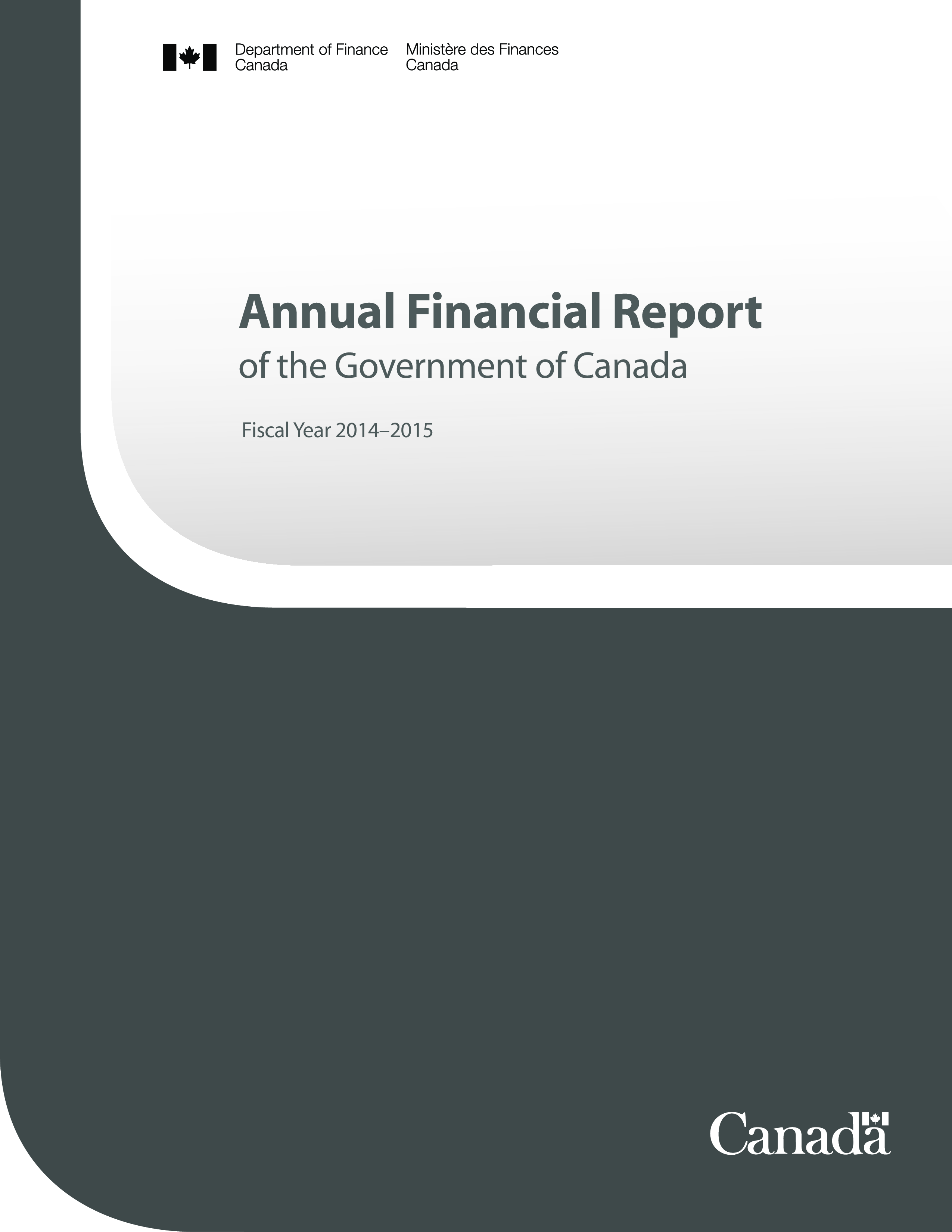 Annual Financial Expense Report 模板