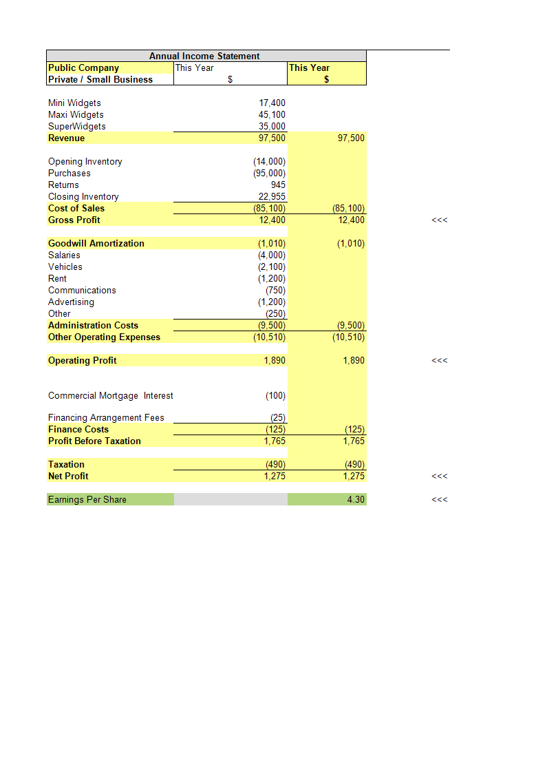 Annual Income Statement Template example 模板