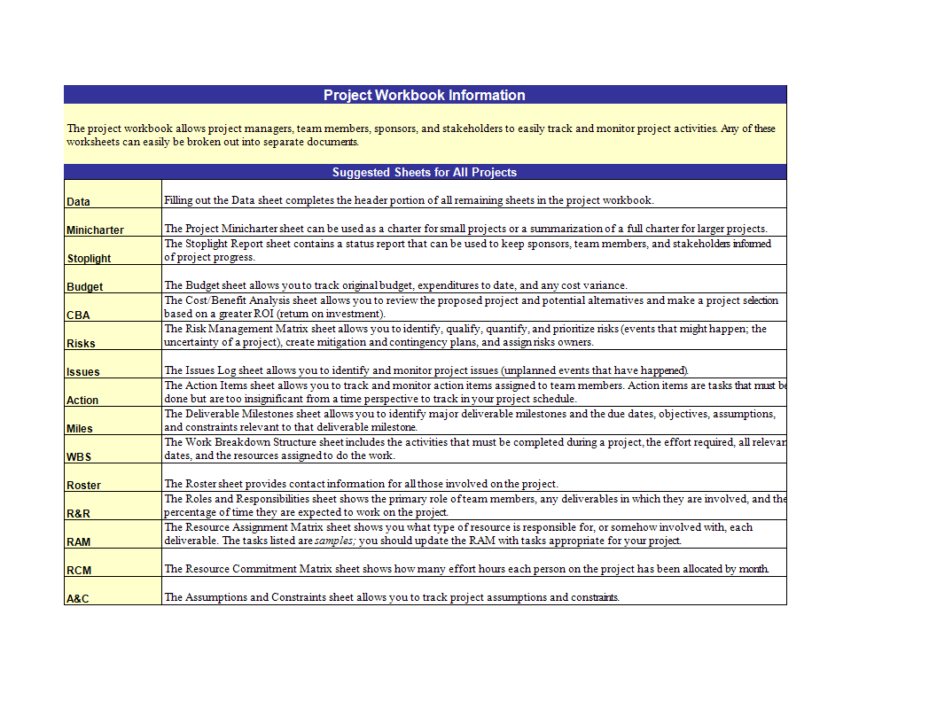project workbook information sheet template