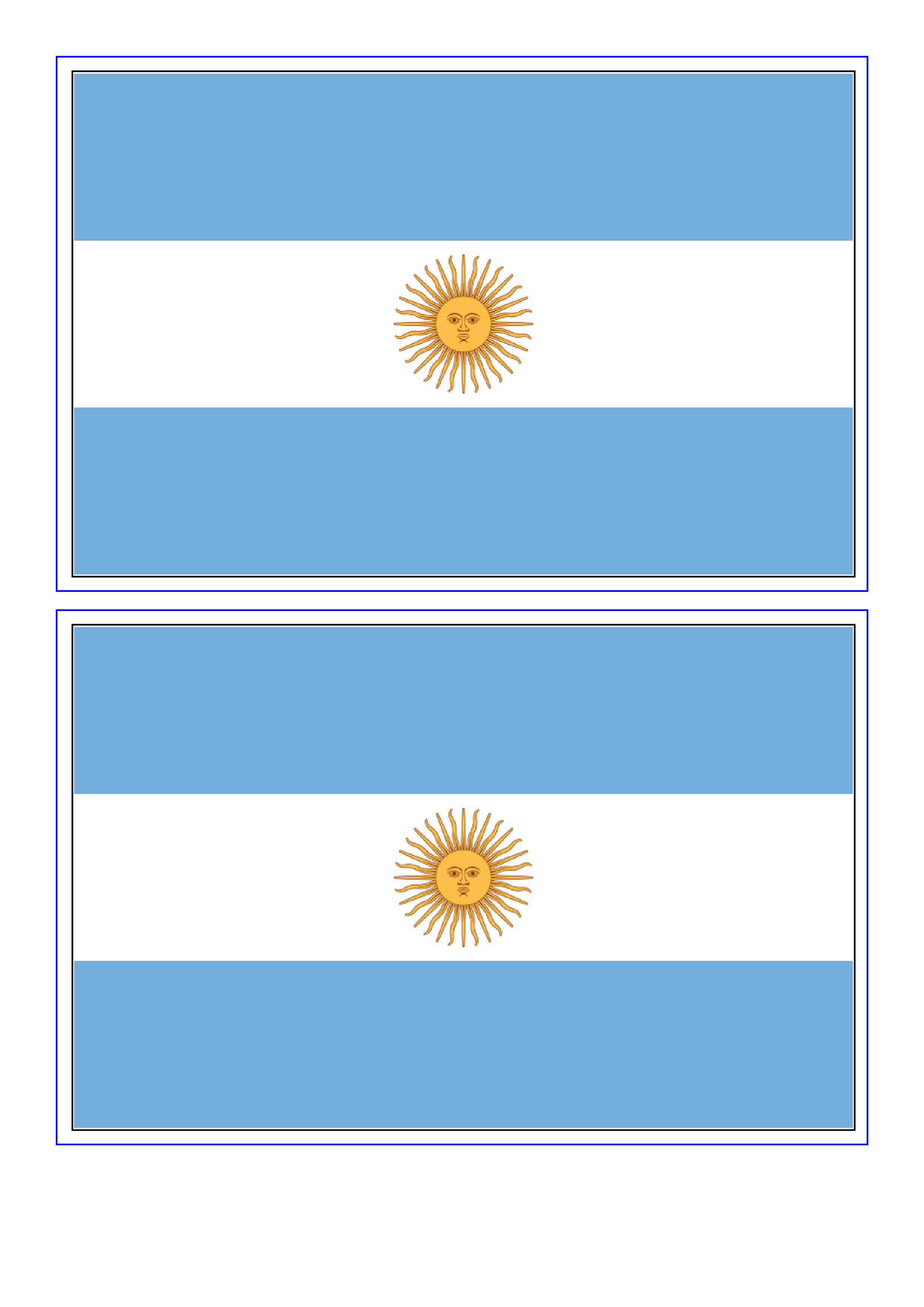 argentina flag template