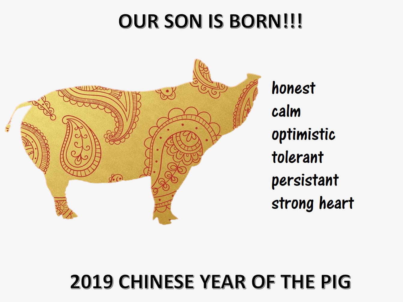 Chinese New Year Son is Born 2019 Year Pig 模板