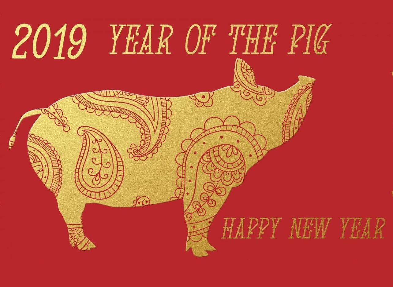 Chinese New Year 2019, year of the Pig