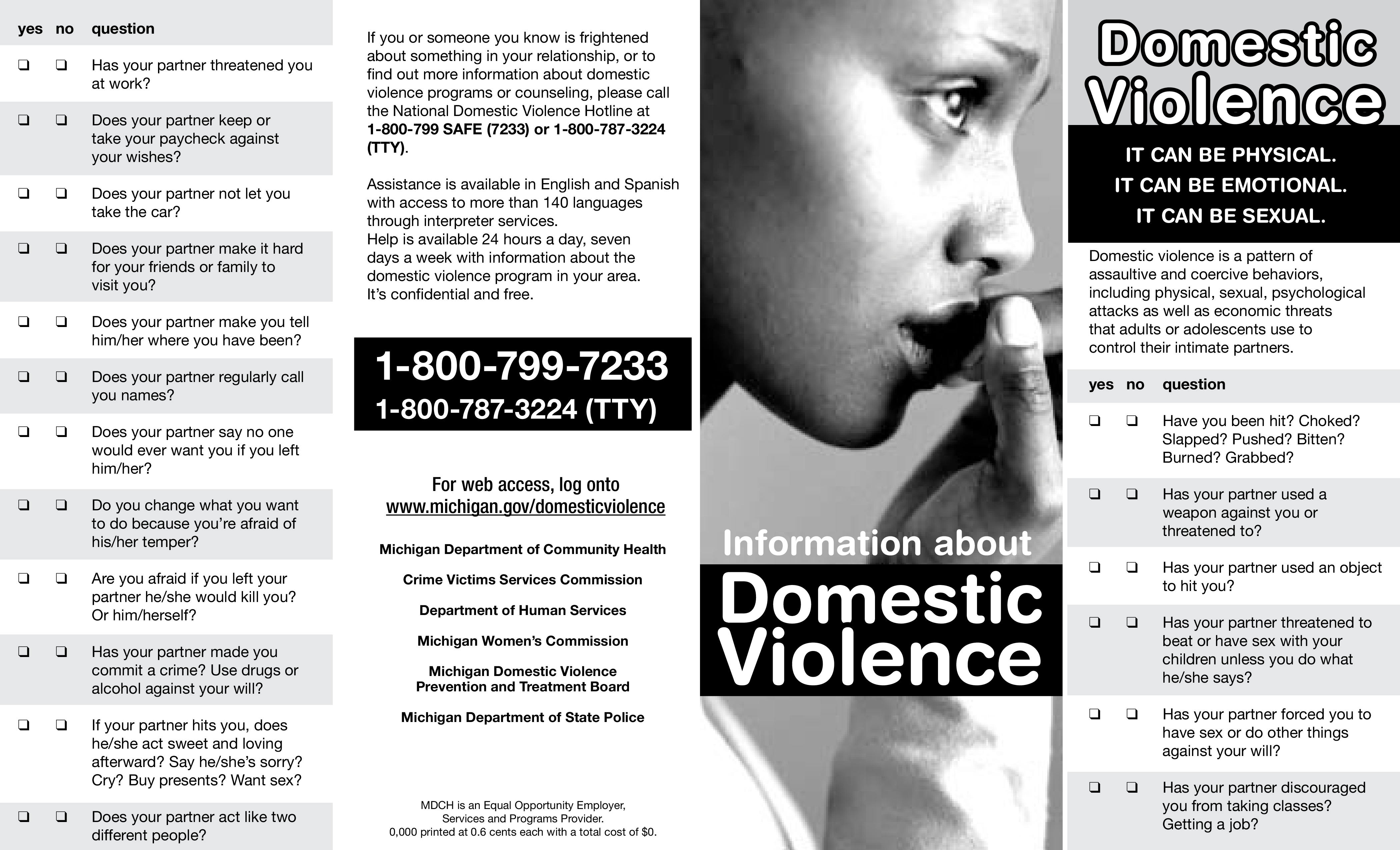 Domestic Violence Program Brochure 模板