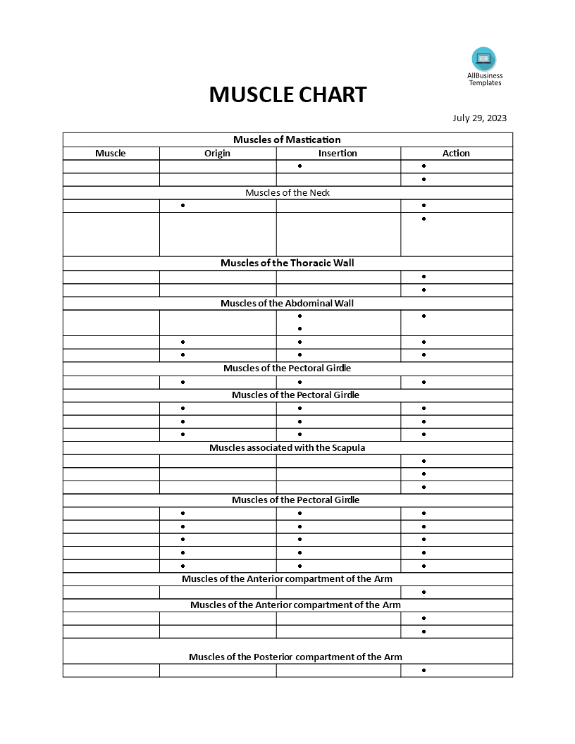 muscle actions chart template