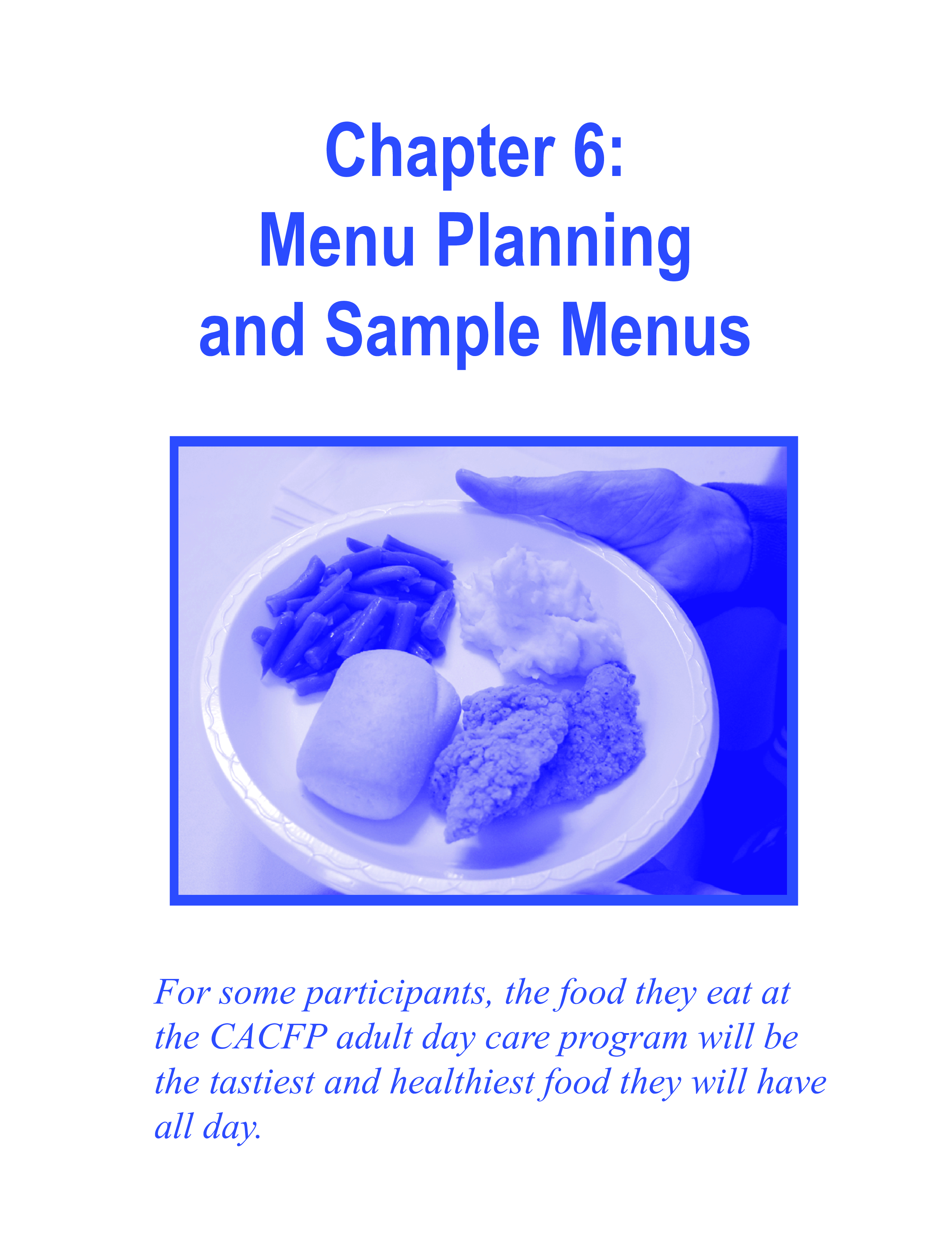 Daycare Meal Plan main image