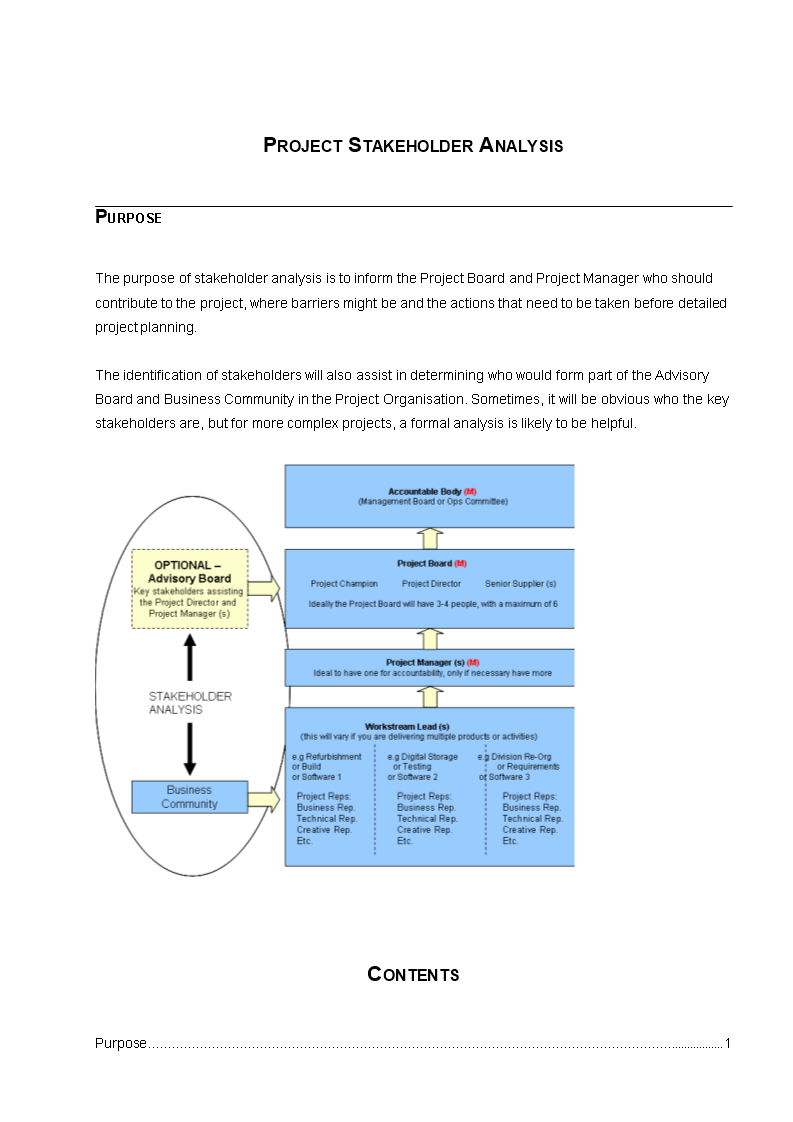 Project Stakeholder Analysis template 模板