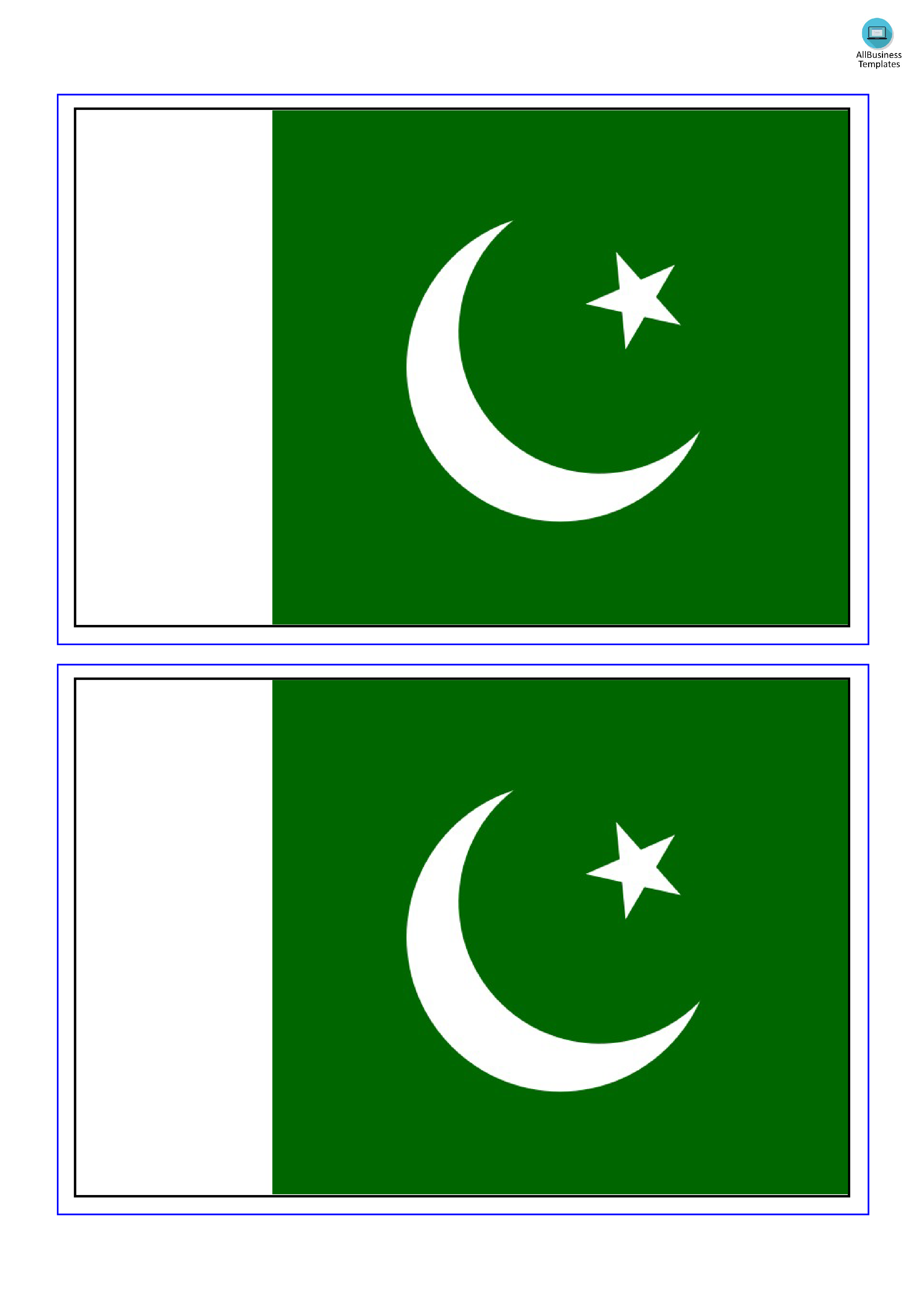 Pakistan Flag main image