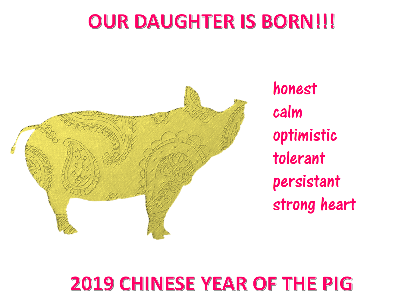 2019女儿新年猪年出生 模板