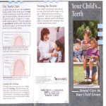 template topic preview image Baby Teething Chart First Teeth