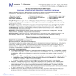 template topic preview image Professional CIO CV for BI business