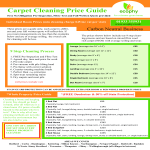 Carpet Cleaning Price Guide gratis en premium templates