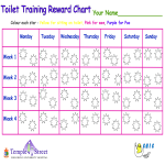 template topic preview image Training Chart