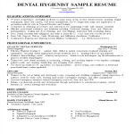 template topic preview image Dental Hygienist CV Sample