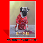 template preview imageChinese New Year Dog Presentation