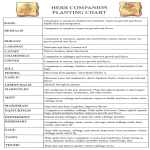 template topic preview image Herb Companion Planting Chart