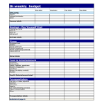 template topic preview image Bi Weekly Budget Form