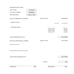 template topic preview image Bank Reconciliation worksheet excel template
