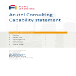 template topic preview image Consulting Capability Statement