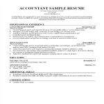 template topic preview image Accountant Curriculum Vitae example
