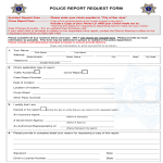 template topic preview image Police Accident Report Example