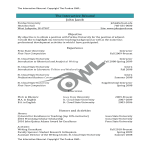 template topic preview image University Adjunct Interactive Resume