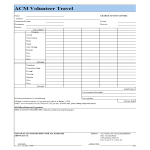 template topic preview image Volunteer Travel and Expense report template