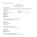 template topic preview image Entry Level Finance Clerk Resume