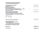 template topic preview image Corporation Partial Income Statement
