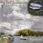 Fly Fishing Brochure gratis en premium templates
