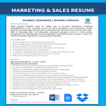 template topic preview image Sales and Marketing Coordinator Curriculum Vitae
