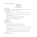 template topic preview image Banking Compliance Analyst Resume