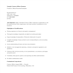 template topic preview image Finance Officer Resume