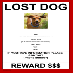 template topic preview image Missing Dog Template With Reward Model A3 Size