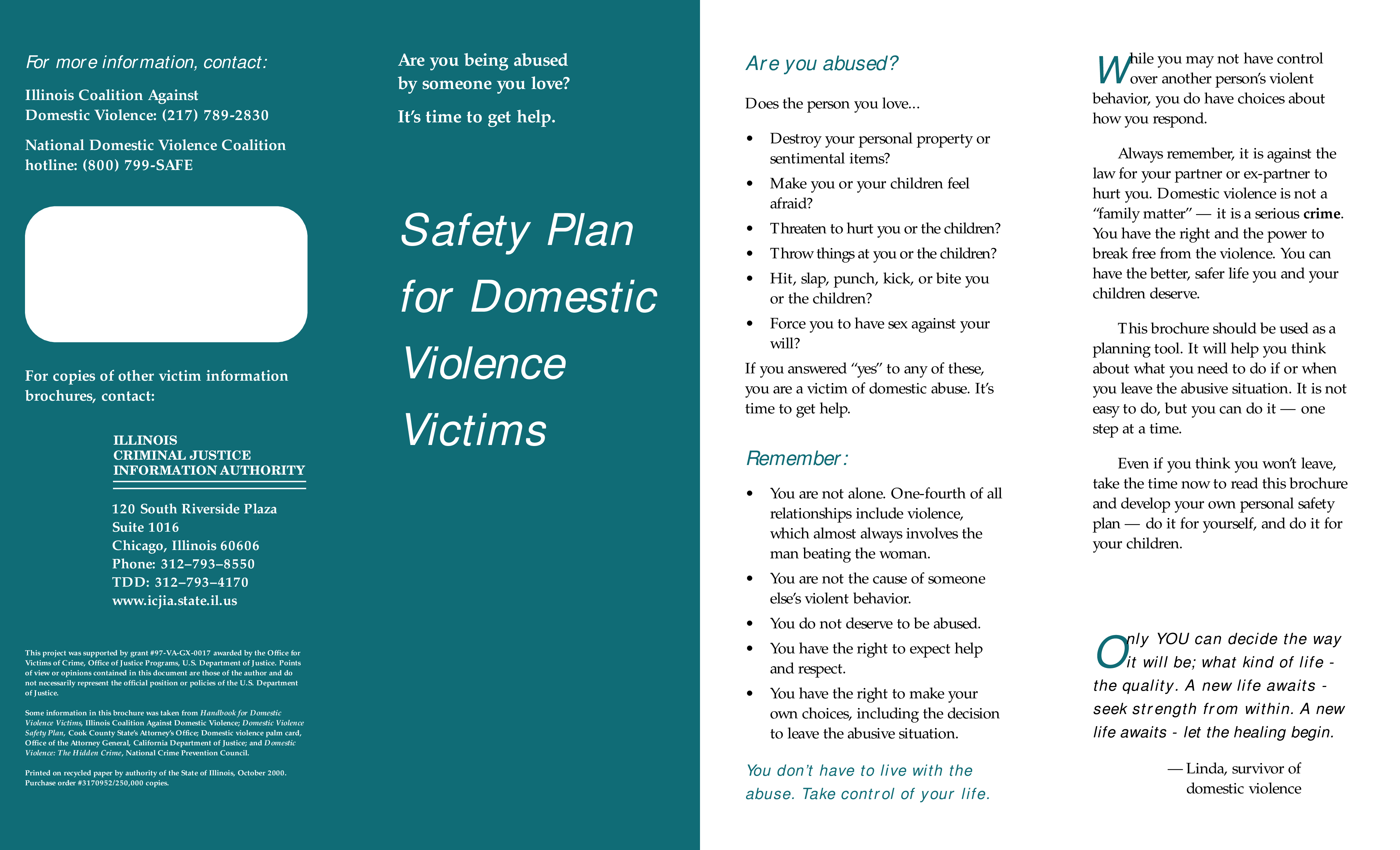 Domestic Violence Safety Plan Brochure 模板
