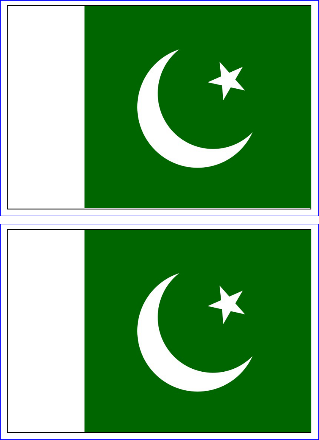 Preview Pakistan Flag