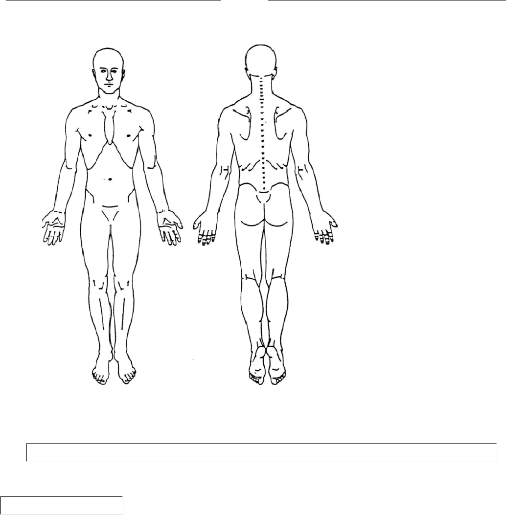 preview-body-pain-chart