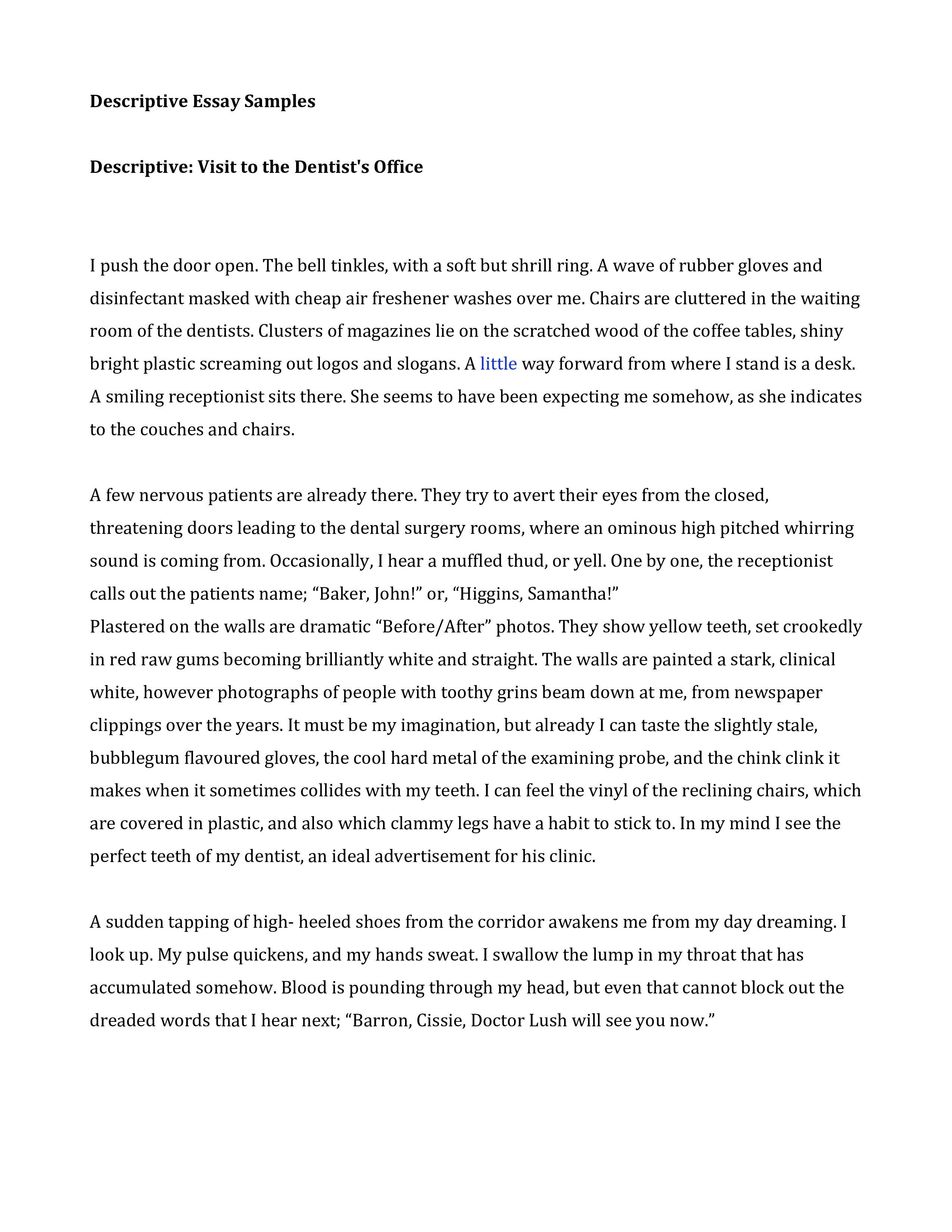 place descriptive essay sample voorbeeld afbeelding 