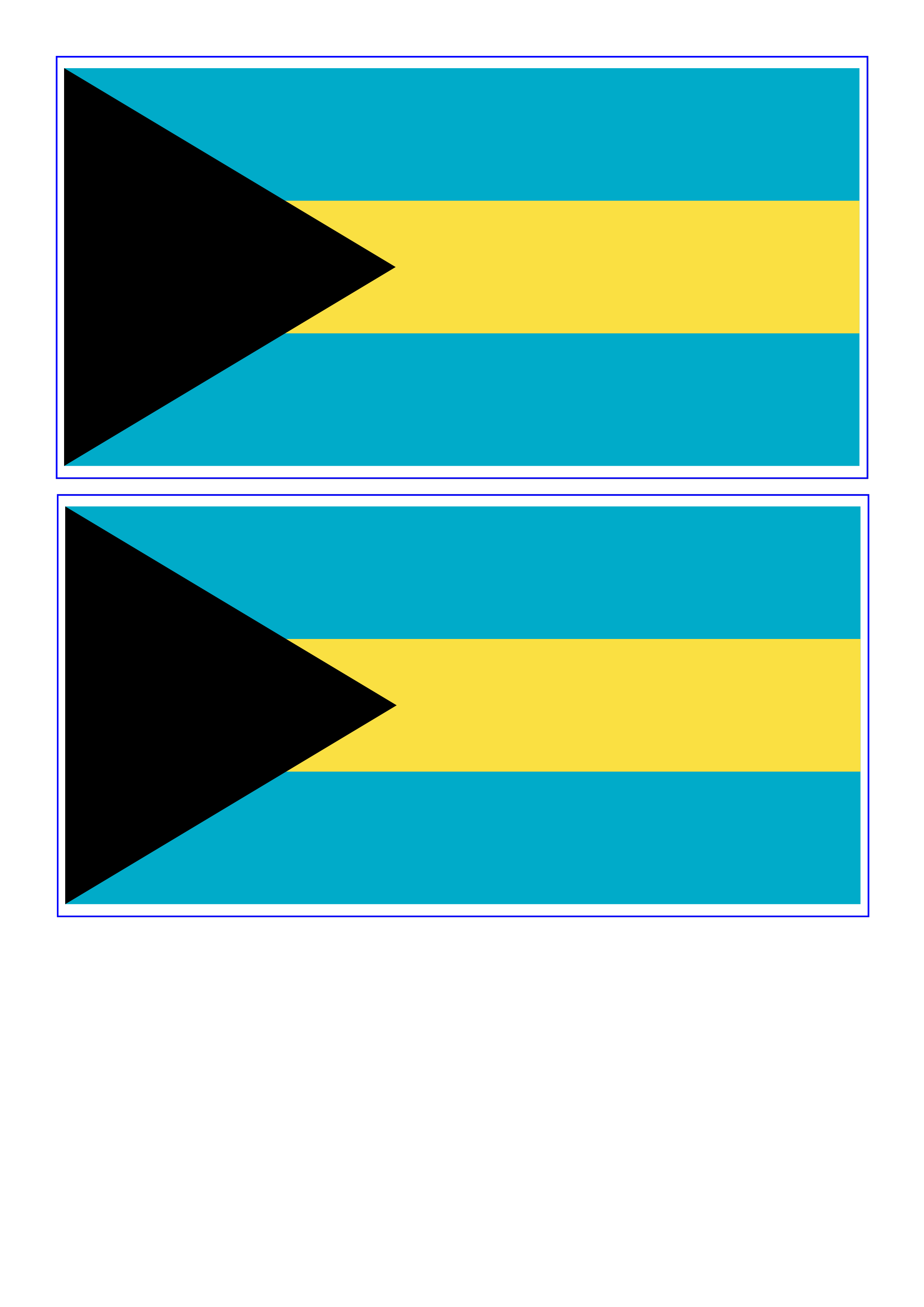 bahamas flag voorbeeld afbeelding 