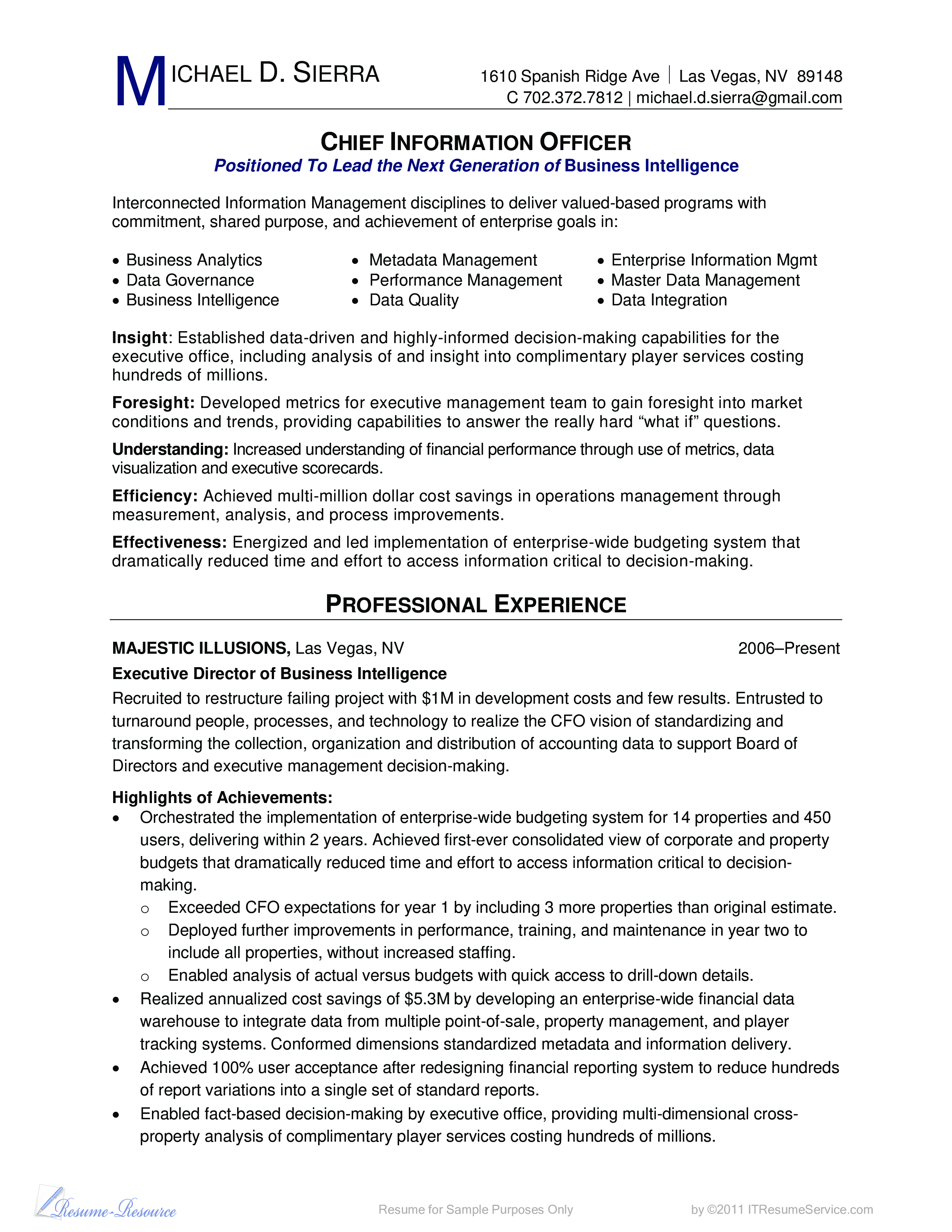 professional cio cv for bi business modèles