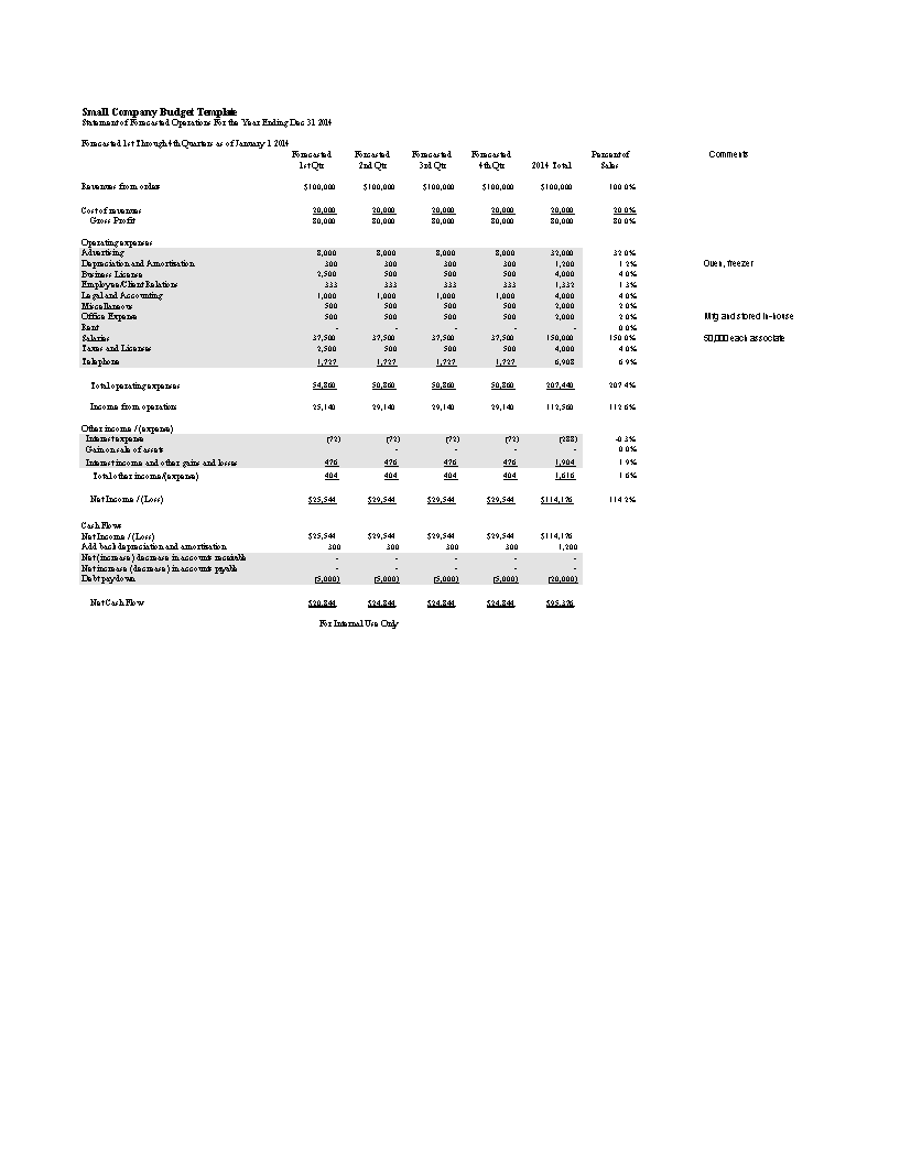 small company budget modèles