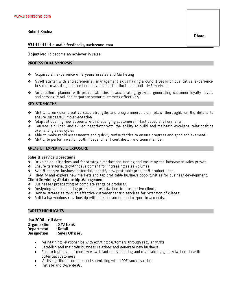 sales executive job cv sample template