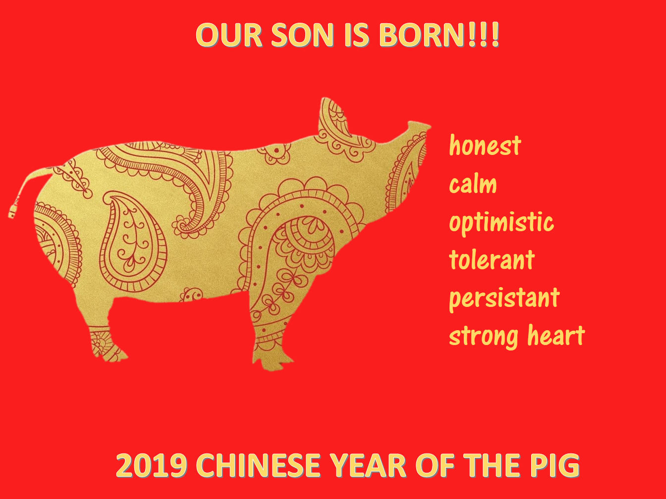 chinese new year son is born year pig Hauptschablonenbild