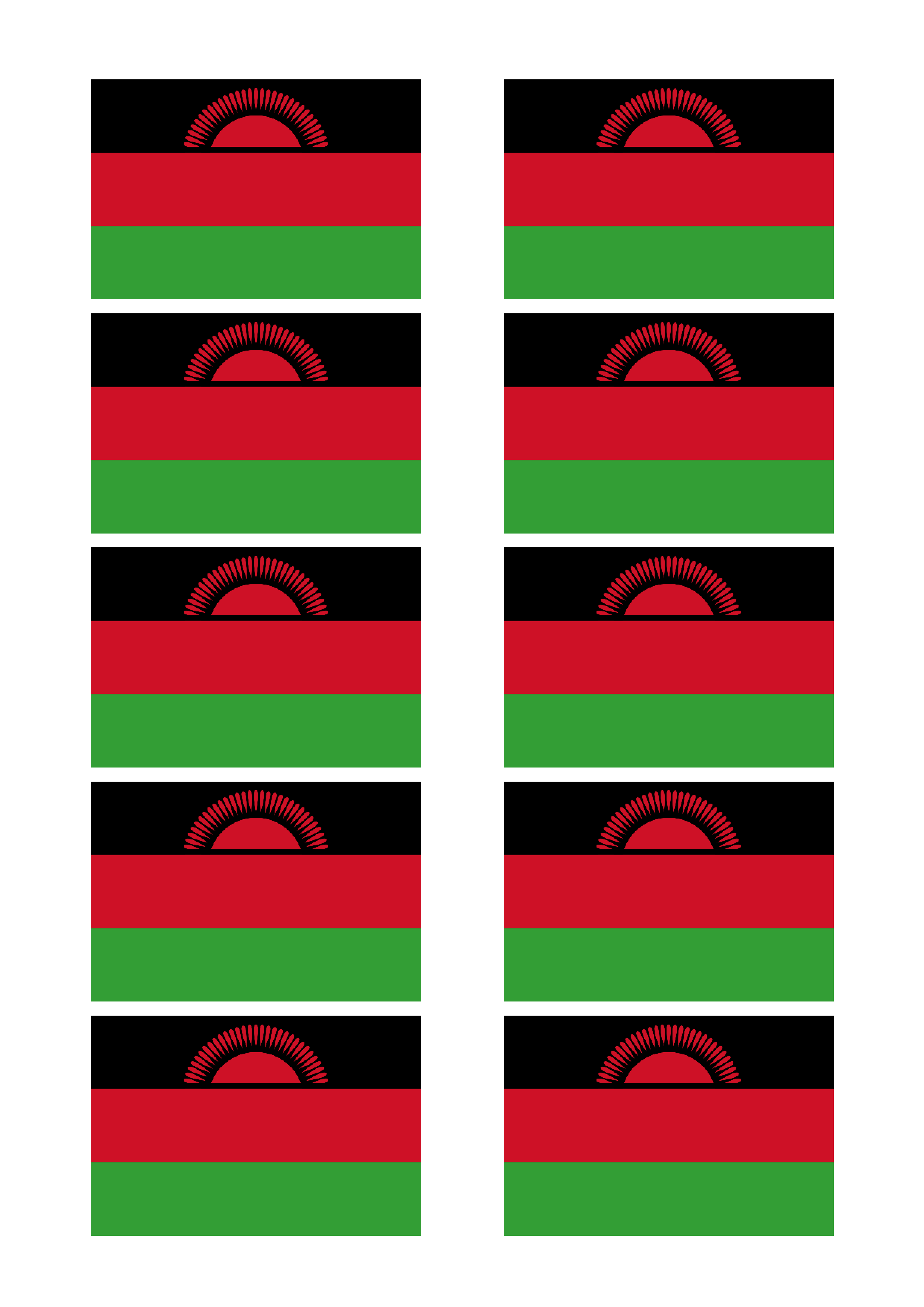 Malawi Flag | Templates at allbusinesstemplates.com
